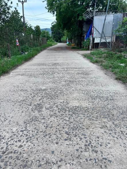 Bán đất tại xã diên lạc, diên khánh, khánh hòa, 13 triệu vnd, 278m2