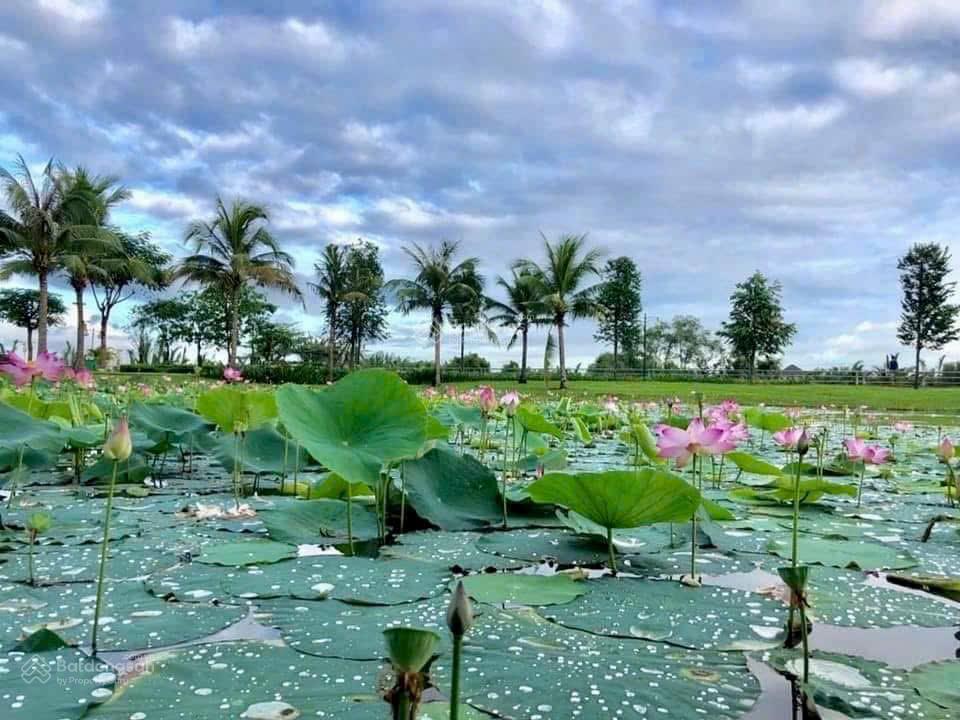 Cần bán trục chính park riverside, 5x15m, full nội thất, giá bán 11 tỷ (tlgiá đẹp)