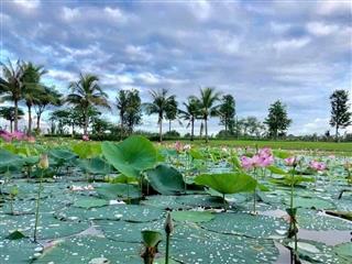 Cần bán trục chính park riverside, 5x15m, full nội thất, giá bán 11 tỷ (tlgiá đẹp)