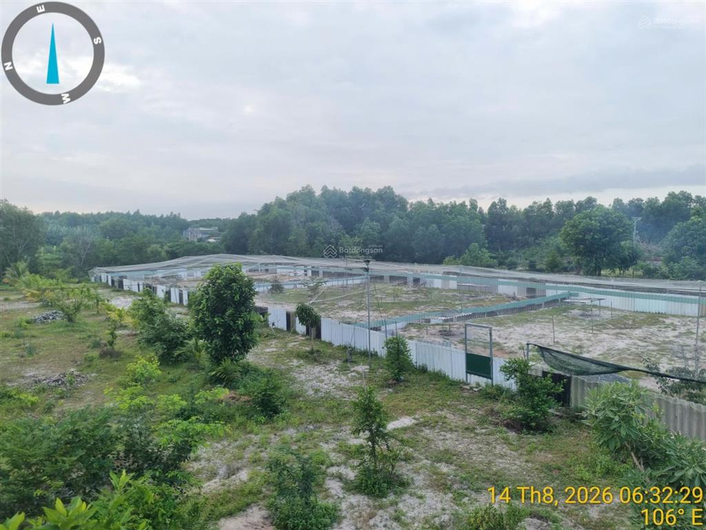 Bán lô đất 3265m2 (200m2 thổ cư) đang có thu nhập ổn định tân phước, lagi gần biển cam bình, 6,5 tỷ