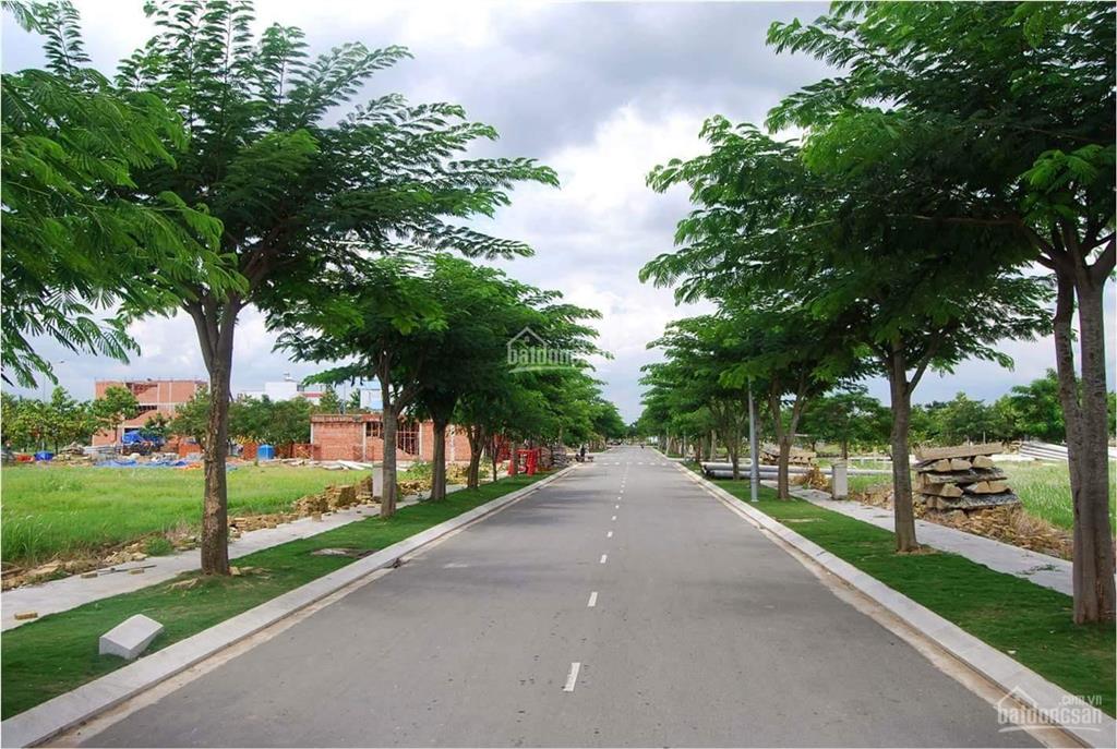 Bán đất phân lô khu đường phạm văn bạch, cống lở, phan huy ích, hxh.  0923 489 ***