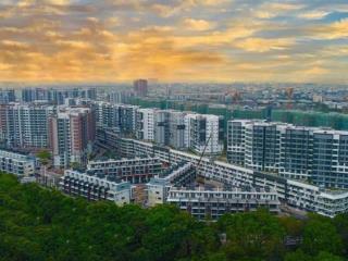 Celadon city the glen căn góc 6*19m (3 mặt tiền rộng, hướng đông nam) giá 37 tỷ (giá 102%)