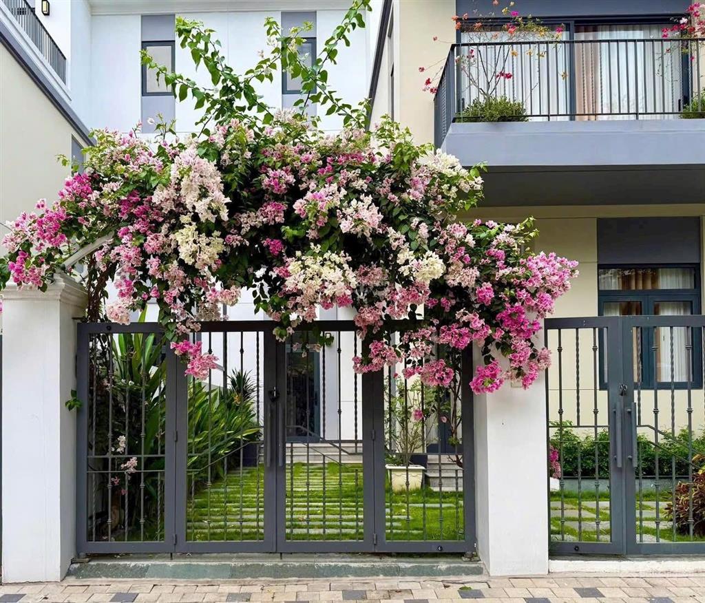 Kẹt tiền bán gấp biệt thự song lập view sông sắp có sổ, nhận nhà ở ngay gần quảng trường aqua city