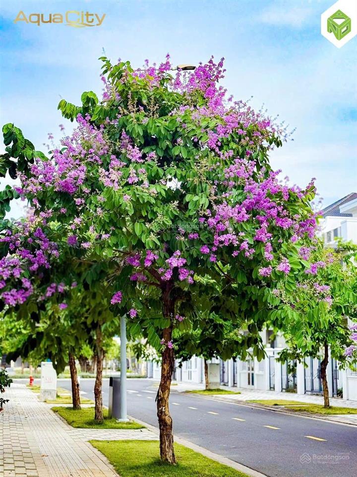Kẹt tiền bán gấp biệt thự song lập view sông sắp có sổ, nhận nhà ở ngay gần quảng trường aqua city