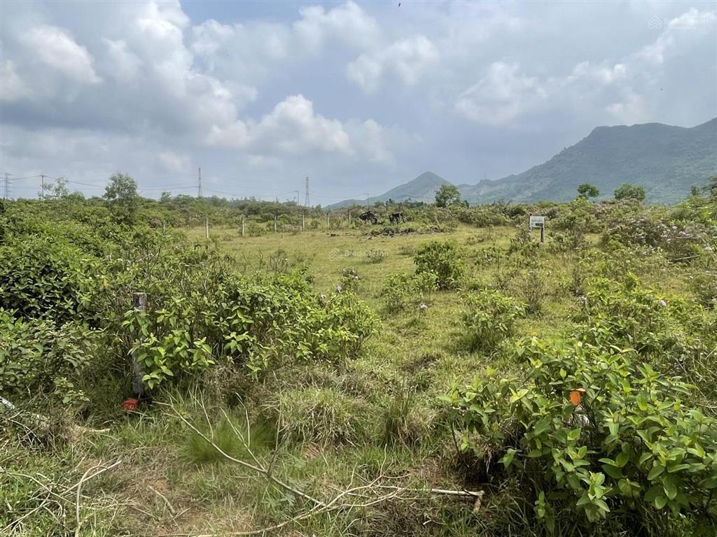 Siêu phẩm lô góc biệt thự an sơn  hòa ninh  sát bà nà hills dt 1712m2 đất ở  giá 8,0 triệu/m2