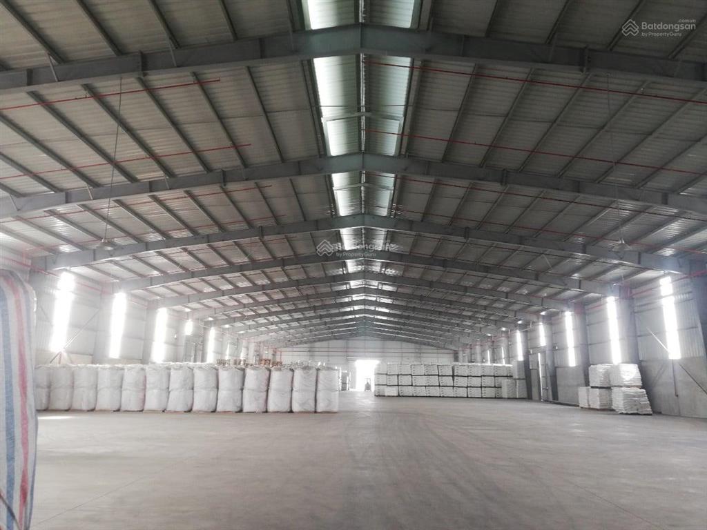 Cho thuê kho 5.000m2, hỗ trợ chia nhỏ diện tích, đạt chuẩn pccc & bảo hiểm, cont vào