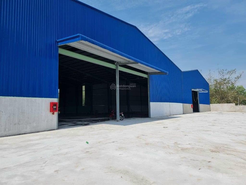 Cho thuê kho 5.000m2, hỗ trợ chia nhỏ diện tích, đạt chuẩn pccc & bảo hiểm, cont vào