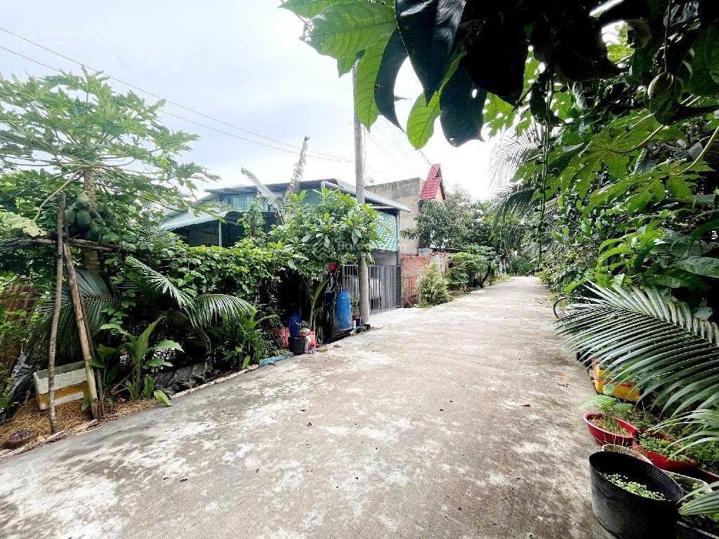 Bán đất tại an hạ, 2,1 tỷ, 120m2, bình chánh, hcm view kênh thổ cư 90m2 thích hợp xây trọ