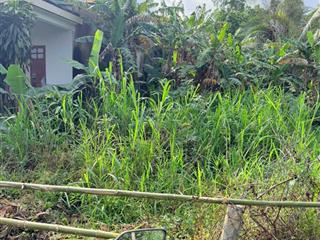 Chỉ 1 tỷ 250 có ngay lô đất 241m2 đôi diện trường học . khu đất cao ráo sạch sẽ .