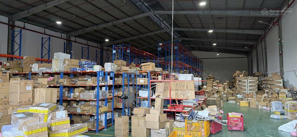 Cho thuê kho xưởng 1000m2 dĩ ankcn sóng thần, pccc tự động, cont 24/24