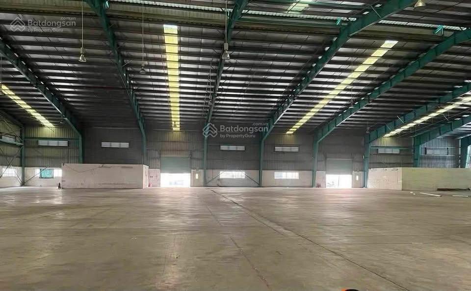 Cho thuê kho 2625m2 gần ngã tư thủ đức pccc tự động nghiệm thu, trần cao 12m, đường xe cont