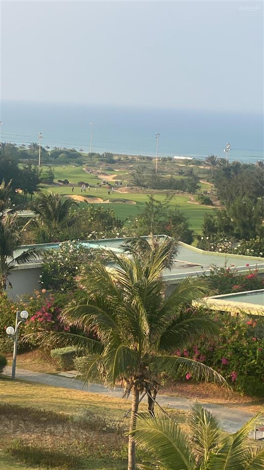 Bán cắt lỗ nhanh lô flc giá chỉ còn 850triệu (tặng móng gần 300 triệu)