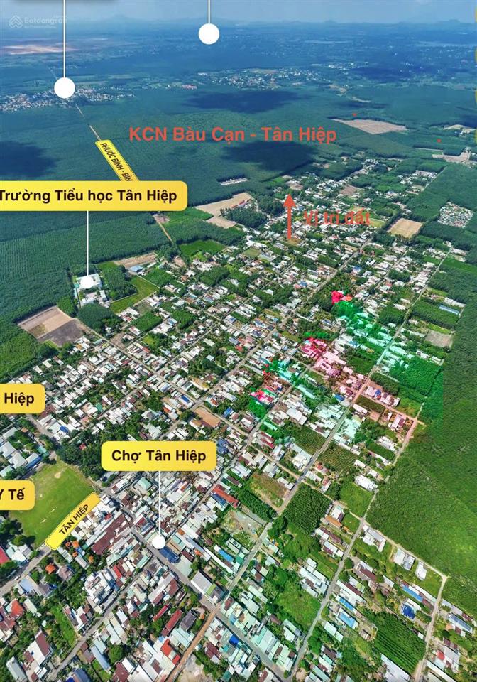 Lô đất 110m2 thổ cư bàn cờ tân hiệp cần bán giá 1.35 tỷ, đường 6m, dân ở kín xung quanh, hỗ trợ vay