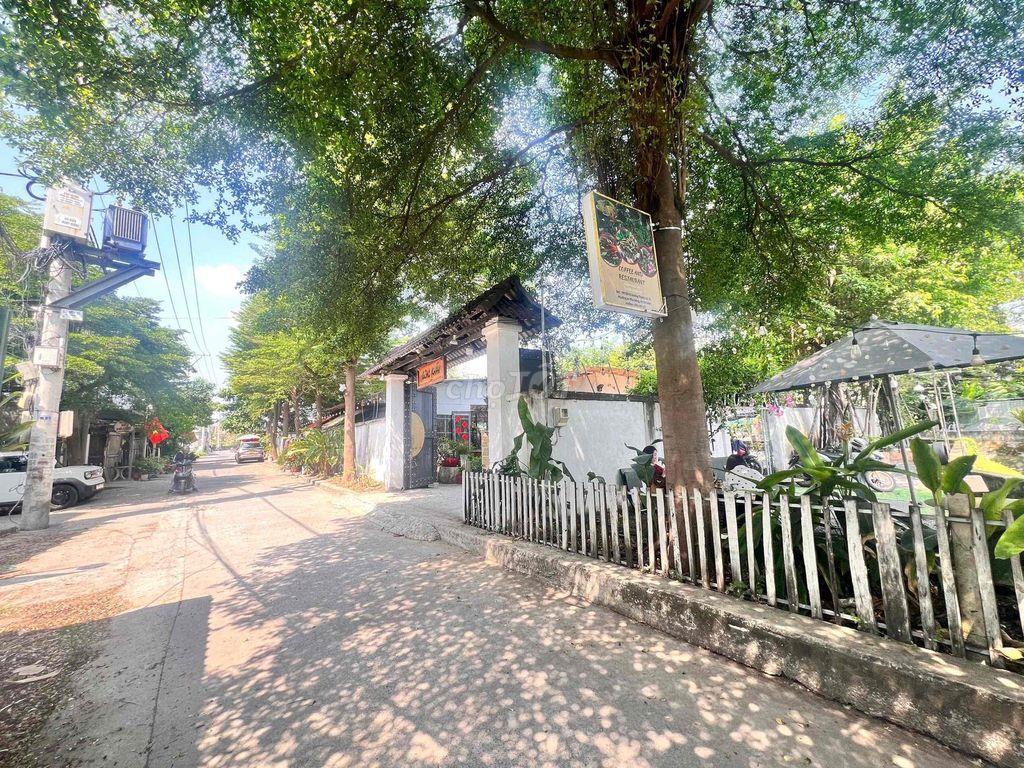 nhà đường Thạnh Lộc 31- giá siêu hời