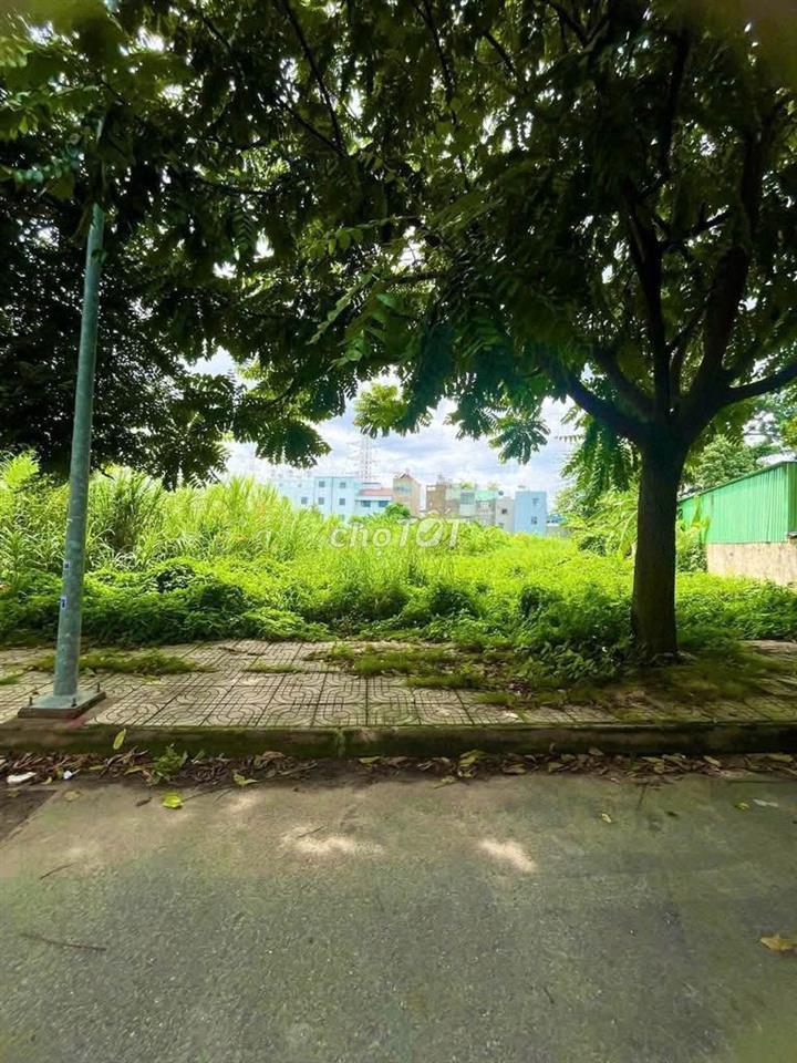 bán đất đường t15 an phú đông quận 12 diện tích 58m2 giá 3.1 tỷ