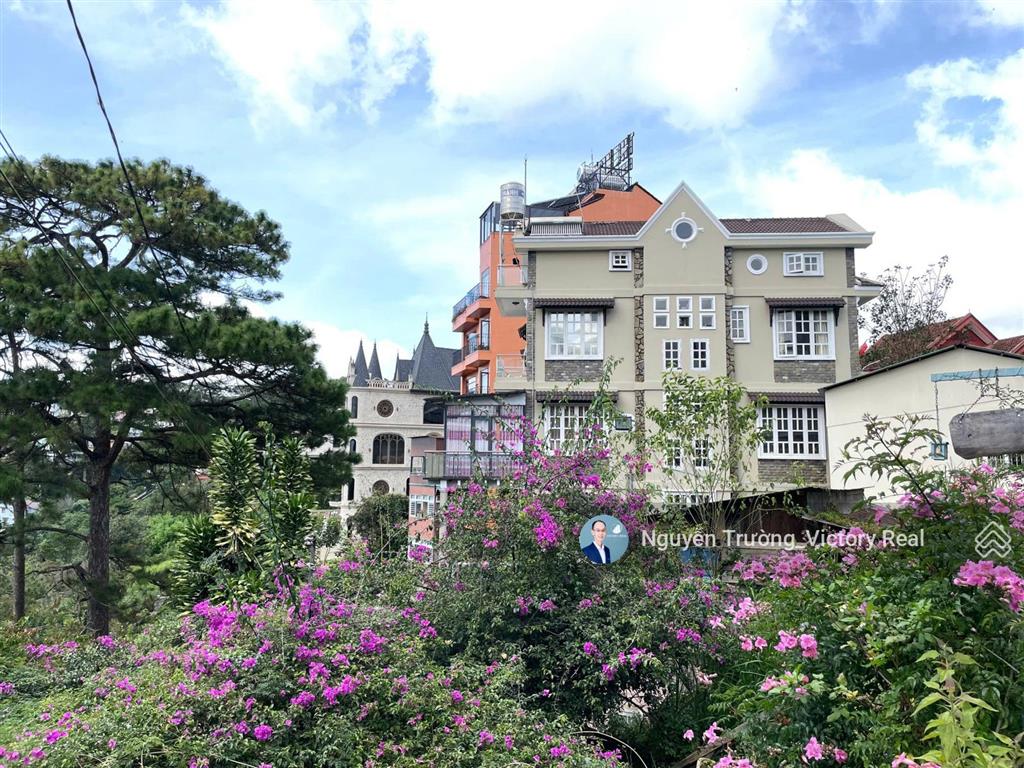 Cần bán đất xây khách sạn 16 x 20 mét, đặng thái thân view thông vĩnh viễn tại đà lạt