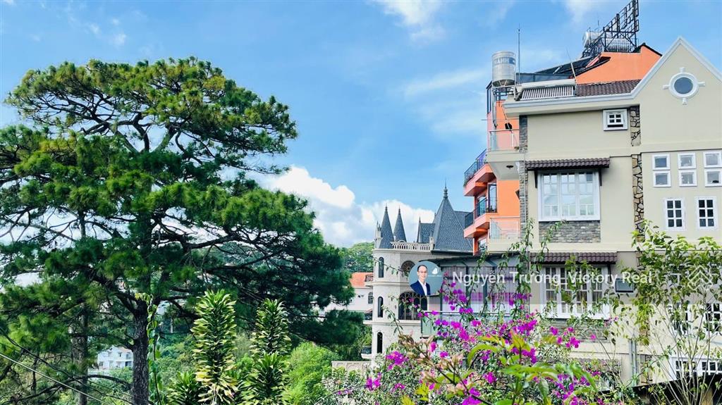 Cần bán đất xây khách sạn 16 x 20 mét, đặng thái thân view thông vĩnh viễn tại đà lạt