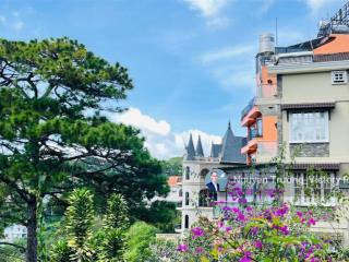 Cần bán đất xây khách sạn 16 x 20 mét, đặng thái thân view thông vĩnh viễn tại đà lạt