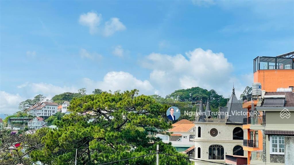 Cần bán đất xây khách sạn 16 x 20 mét, đặng thái thân view thông vĩnh viễn tại đà lạt