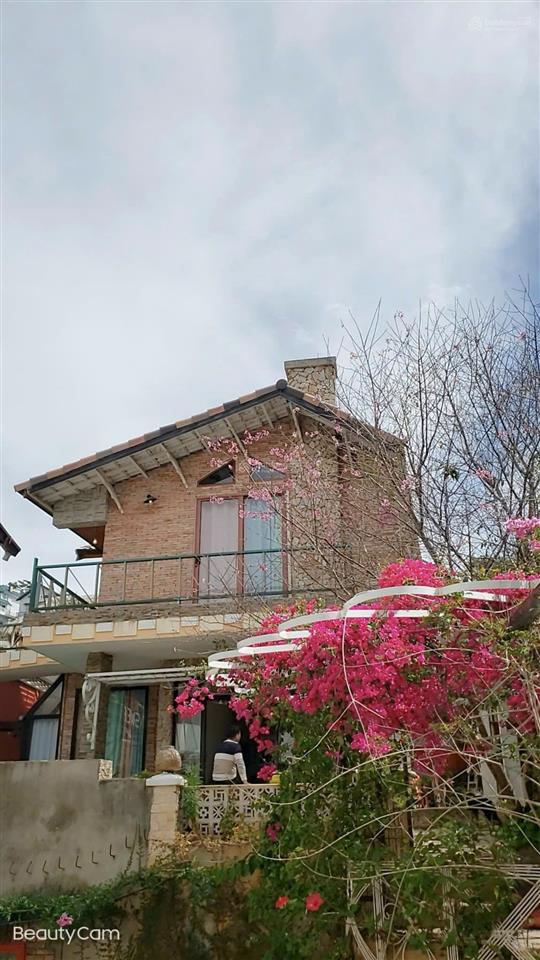 Homestay khoảng 550m2 có dòng tiền, view đẹp đường hoàng hoa thám p. xuân hương đà lạt