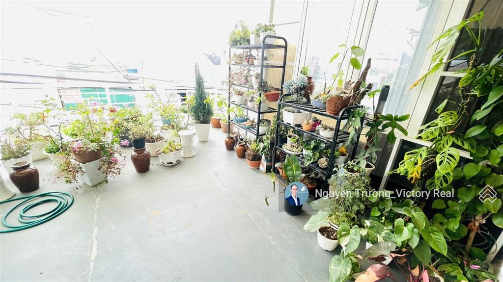 Bán nhà phố mặt tiền chính chủ đường hồ xuân hương, đà lạt 110m2, ngang 6, dài 22 mét, cách 100 mét