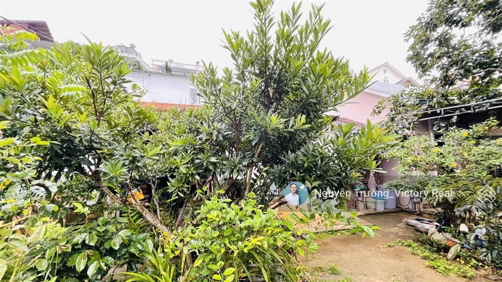 Đất có nhà cấp 4, dt 150m2, đường rộng 10 mét cần bán đất mặt tiền đường an bình, p. 4, đà lạt