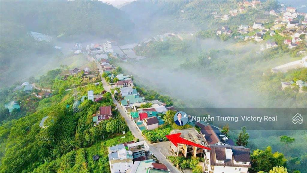 Đất view thung lũng rừng thông vĩnh viễn hoàng hoa thám, p10, đà lạt 245m2, ngang 16 mét