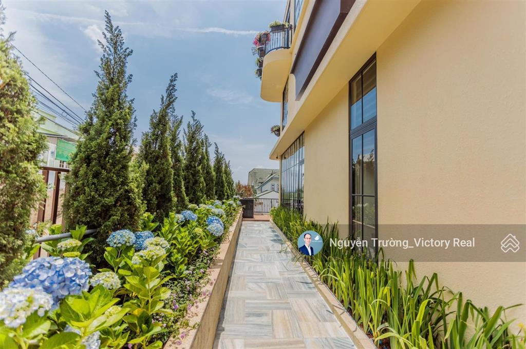 Xứng tầm an cư đẳng cấp đầu tư biệt thự villa khe sanh tuyệt tác giữa phố núi đà lạt 220m² 10x25m
