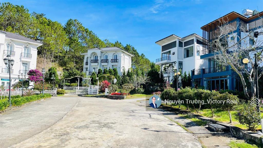 Thuê villa hùng vương, đà lạt view thông dt 450m2, 5 phòng ngủ + khách + bếp + 6 wc + st