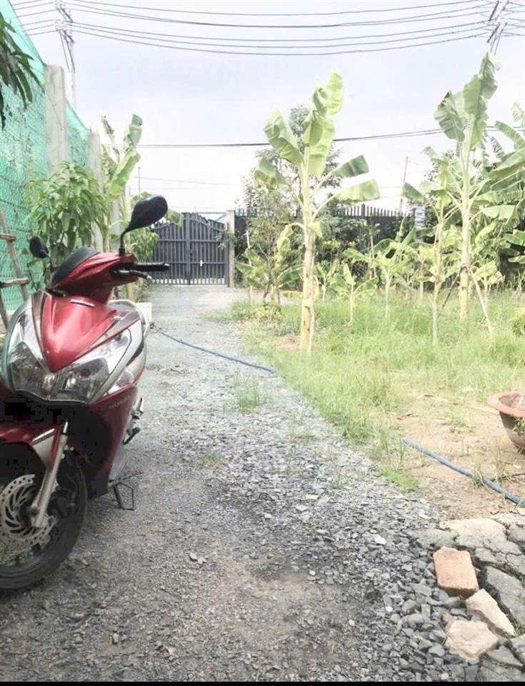 Cần bán 500m đất mt trương văn đa, tân nhựt thuận lợi làm nhà vườn