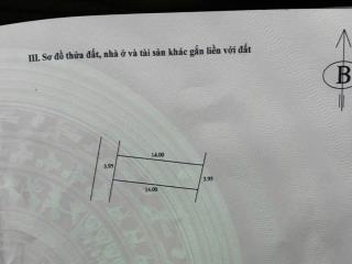 SỞ HỮU LÔ ĐẤT ĐẸP – AN CƯ LÝ TƯỞNG - TẠI PHỤNG THƯỢNG - PHÚC THỌ - HÀ NỘI