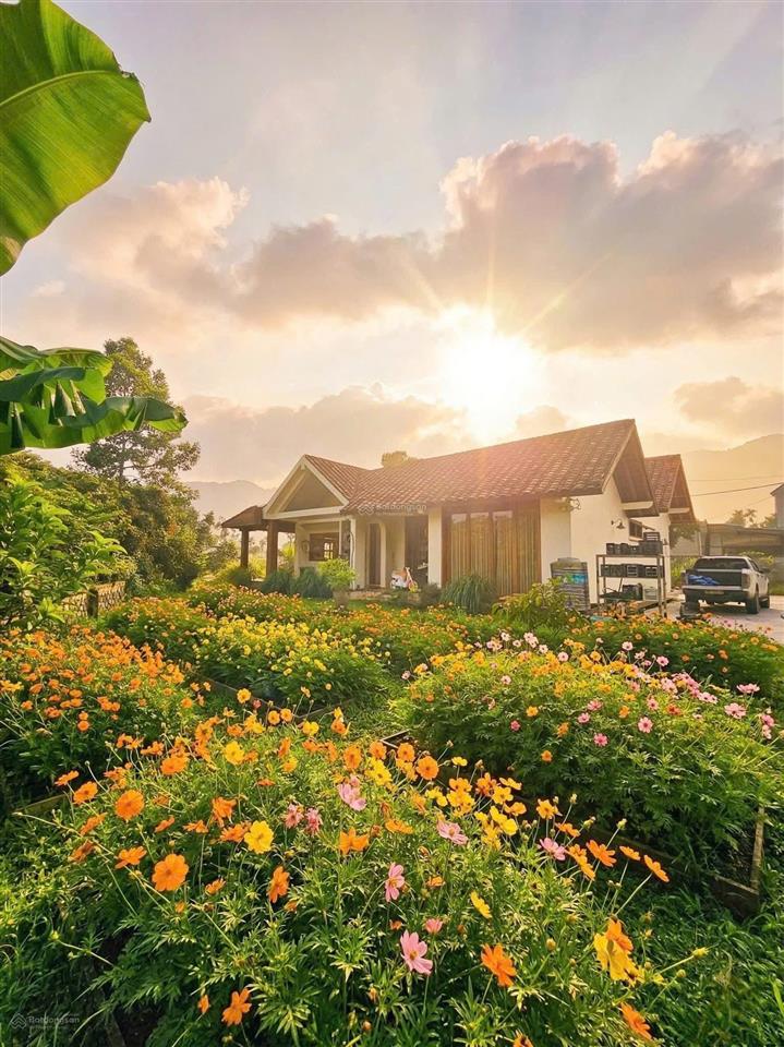 Góc nhà đẹp tìm chủ tại hoà lạc, hà nội