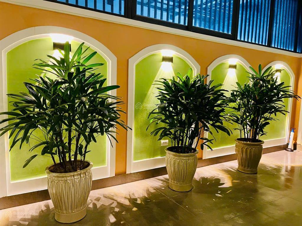 Chính chủ cho thuê căn ha2 87.5m2, vinhomes marina