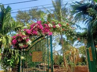 Bán đất buôn văn hoá kô mleo, sẵn vườn đang thu hoạch 1790m2, tc 200m2, giá 11 tỷ