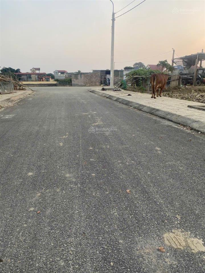 Cần bán gấp đất thôn chấn long, thiệu hợp cũ, thiệu quang thanh hoá giá 750 tr/lô cơ hội đầu tư