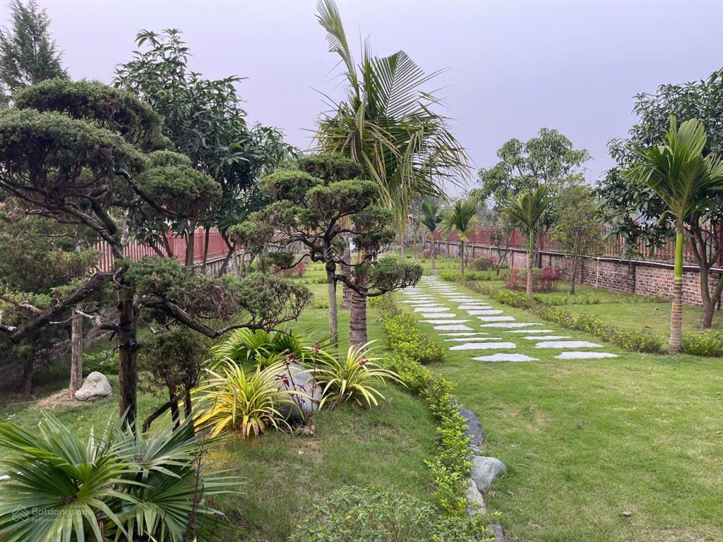 Chính chủ bán đất 950m2 tại hồng vân  thường tín, mt 12m, vị trí đẹp, giá siêu rẻ,  0915 897 ***