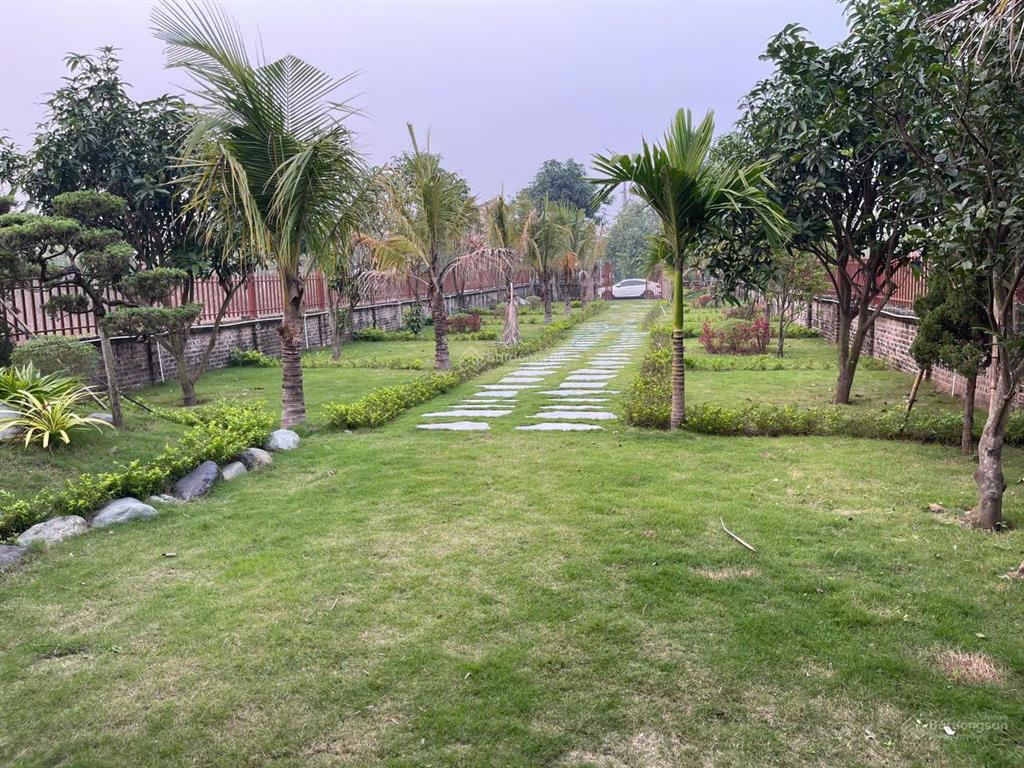 Chính chủ bán đất 950m2 tại hồng vân  thường tín, mt 12m, vị trí đẹp, giá siêu rẻ,  0915 897 ***