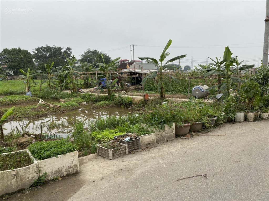 Chính chủ bán lô đất đẹp 480m2 tại trần phú, thường tín,  0915 897 ***