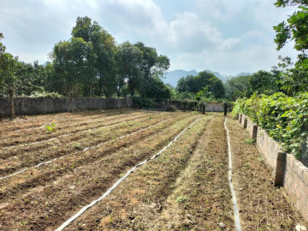 Bán đất chính chủ sổ hồng mới, vị trí đắc địa khu thắng lợi, tỉnh hòa bình, gần ql21, đường hcm