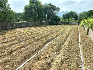 Bán đất chính chủ sổ hồng mới, vị trí đắc địa khu thắng lợi, tỉnh hòa bình, gần ql21, đường hcm