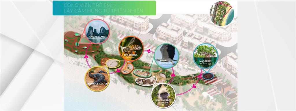 Bán căn hộ view biển xanh island cát bà chỉ 2.8 tỷ/căn, full nội thất