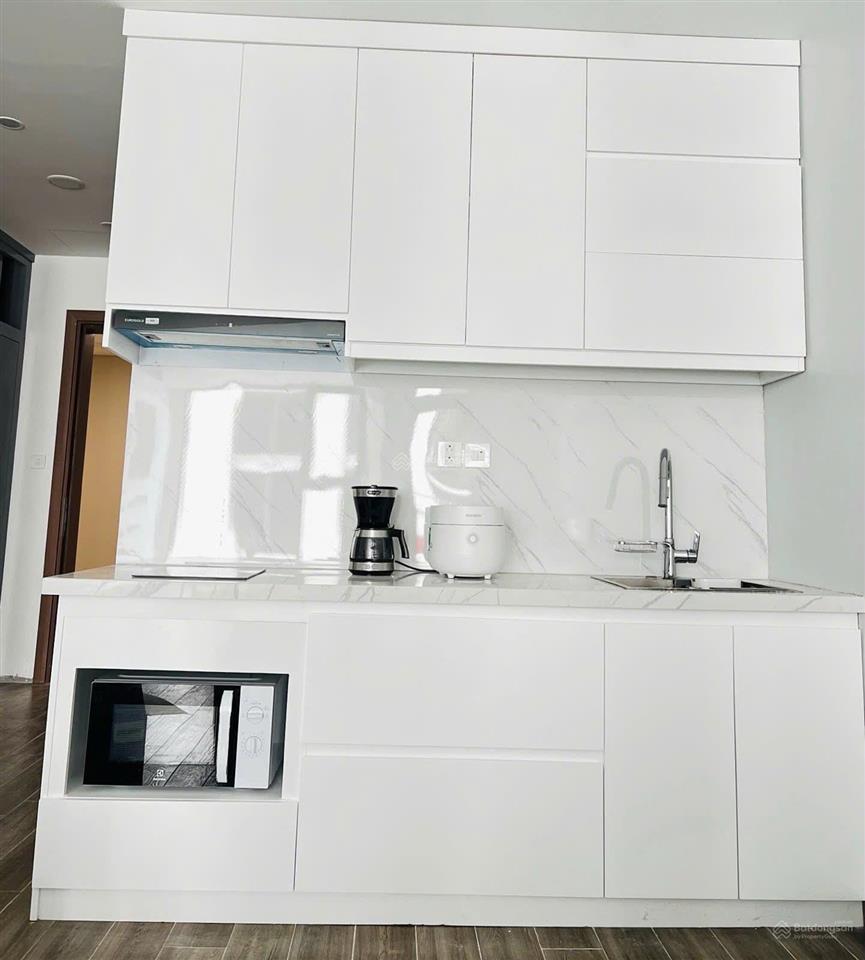 Cho thuê căn hộ 1 phòng ngủ full đồ dự án brg trần quang khải  hồng bàng  hải phòng