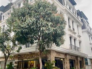 Cho thuê nhà nguyên căn 6 tầng có thang máy hoàng huy riverside  thượng lý  hồng bàng  hải phòng