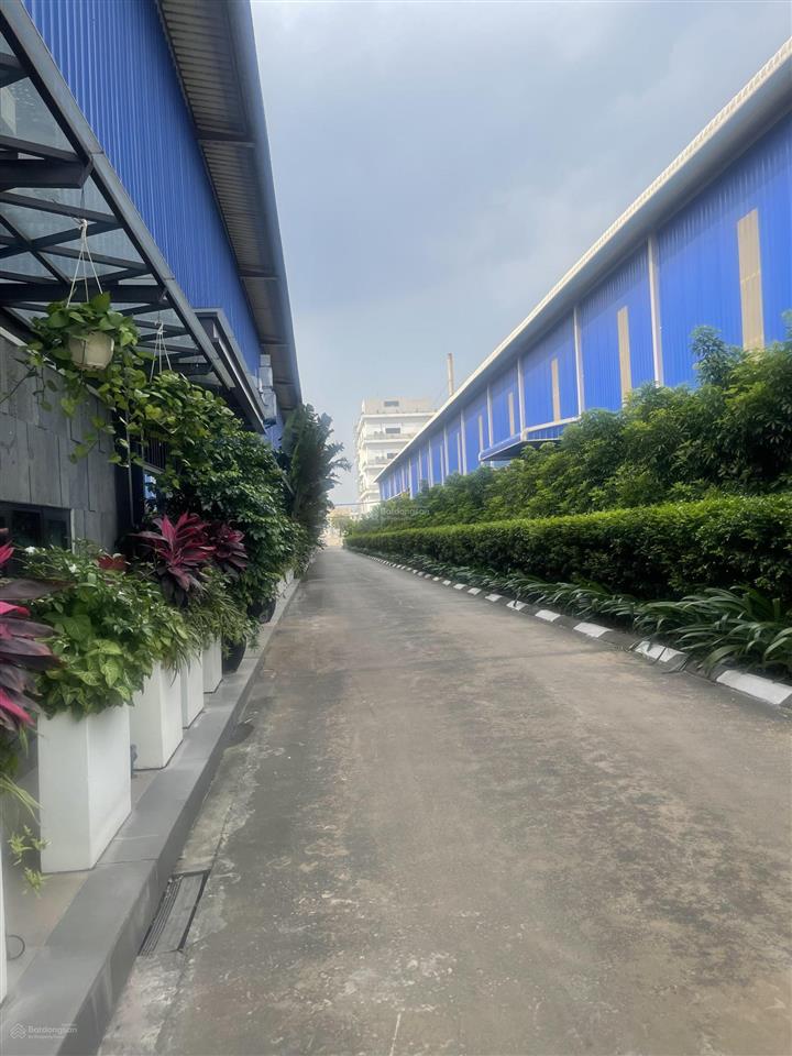 Cho thuê xưởng chuyên ngành dệt nhuộm và hoá chất tại hưng yên