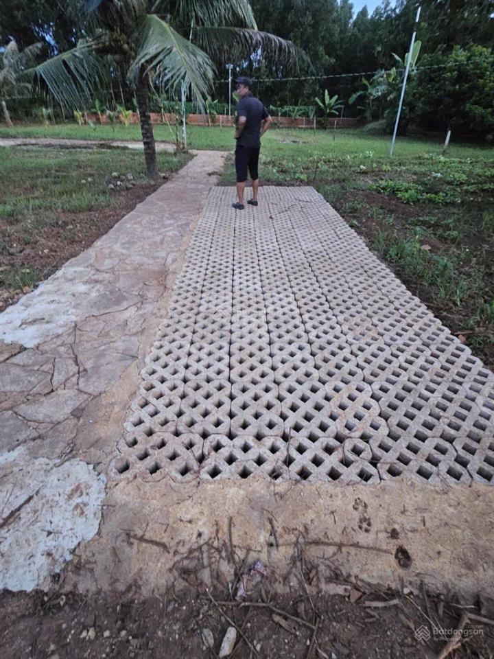 Chốt lời gấp lô đất vàng 560m2  trực diện cổng b sân bay quốc tế long thành. 0868 392 ***