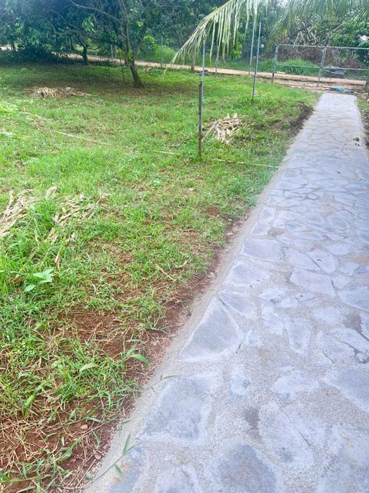Chốt lời gấp lô đất vàng 560m2  trực diện cổng b sân bay quốc tế long thành. 0868 392 ***
