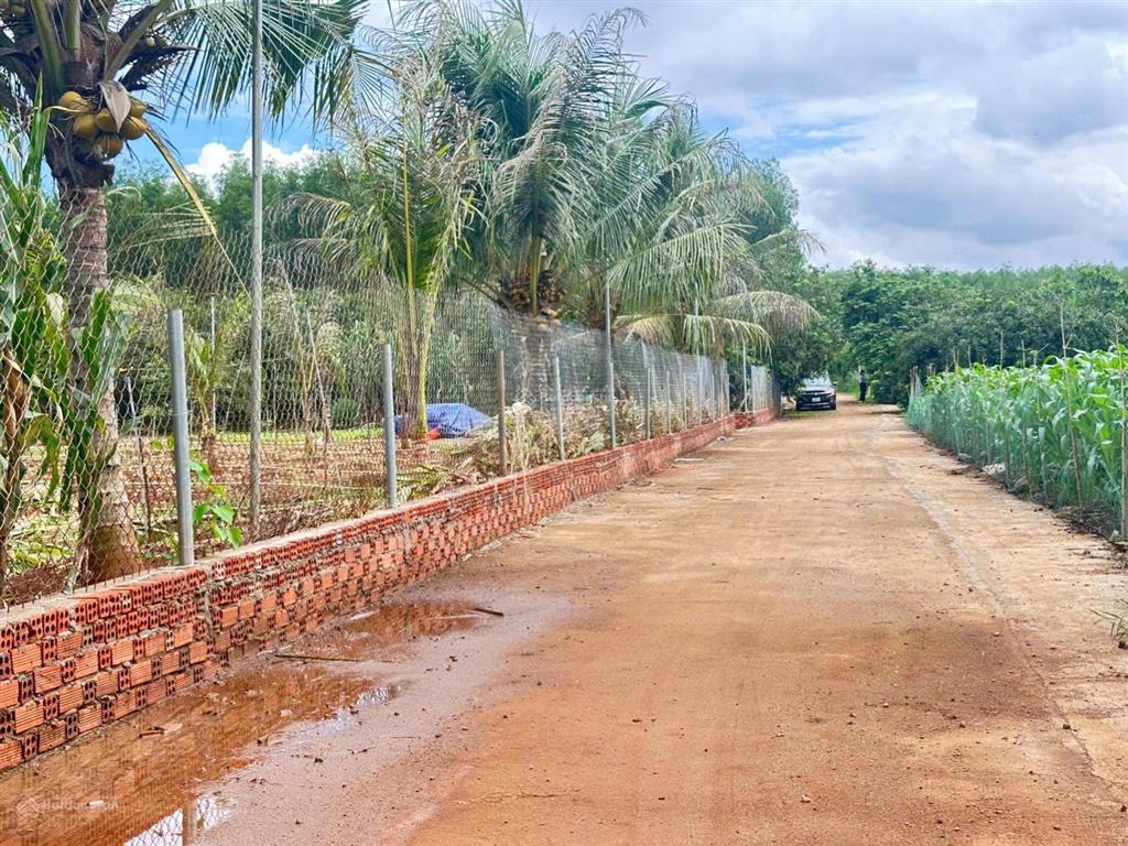 Chốt lời gấp lô đất vàng 560m2  trực diện cổng b sân bay quốc tế long thành. 0868 392 ***