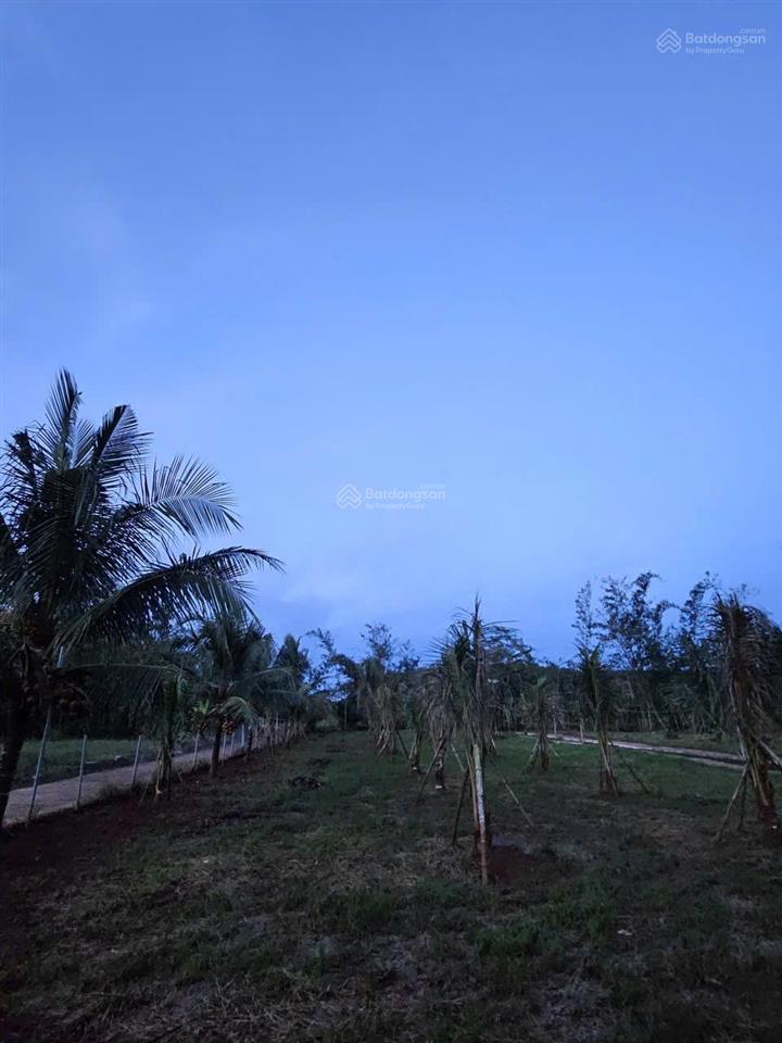 Chốt lời gấp lô đất vàng 560m2  trực diện cổng b sân bay quốc tế long thành. 0868 392 ***