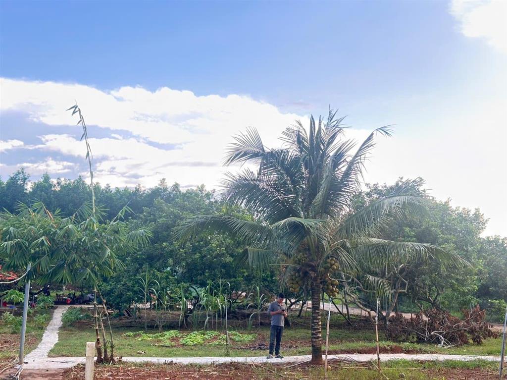 Chốt lời gấp lô đất vàng 560m2  trực diện cổng b sân bay quốc tế long thành. 0868 392 ***