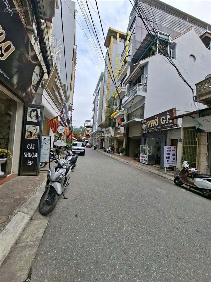 Bán đất phân lô ngọc thụy, long biên  ô tô tránh  cạnh công viên diện tích 110m2  17.9 tỷ